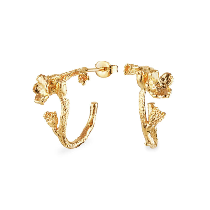 Flora Danica Forglemmigej Hoop - Sølv Forgyldt - Øreringe - 907.FMN-HOPC-G