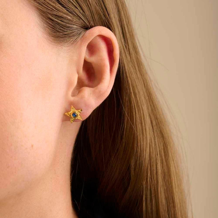 Pernille Corydon Twinkling Star Ørestik I Forgyldt Sølv - Øreringe - E-382-GP