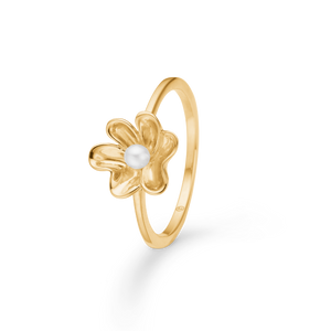 Guld Ringe