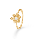 Guld Ringe