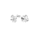 Silver earrings