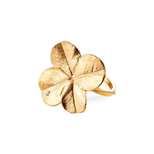 Forgyldte Ringe