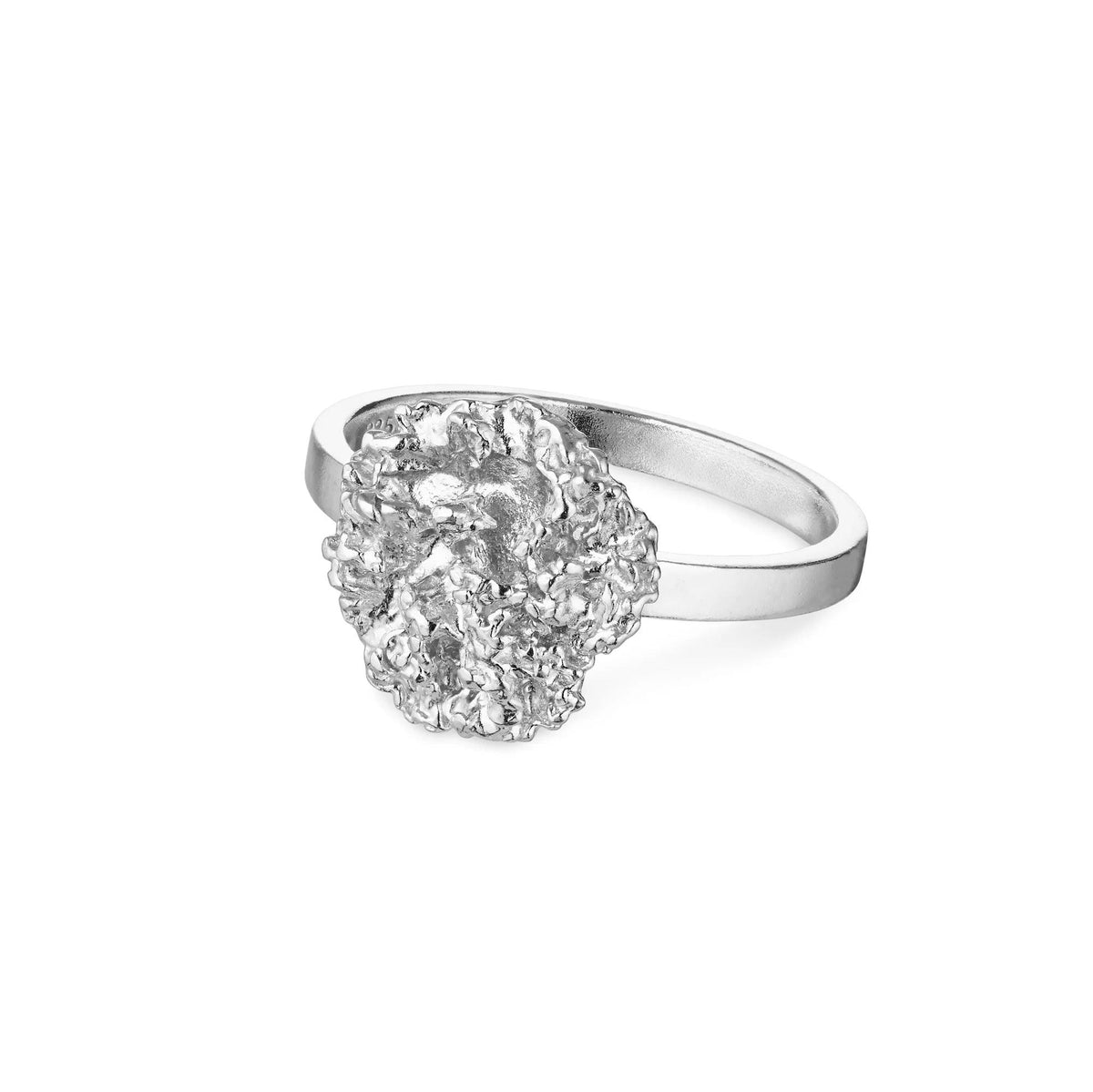 Flora Danica Persille Ring Sølv viser en detaljeret sølvring med organisk persillemotiv, Model 907-par-ri-s-001-1.