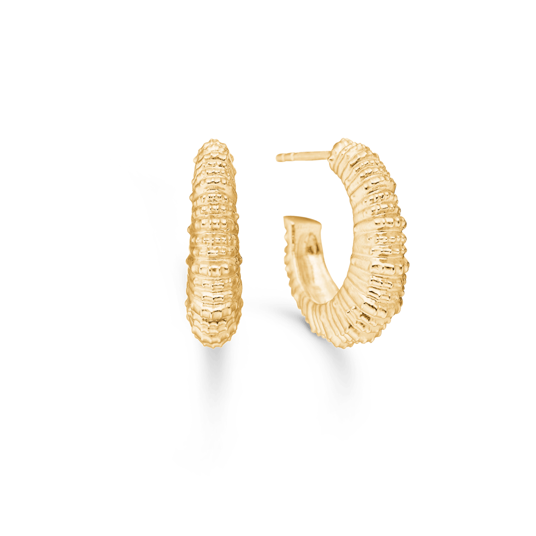 Studio Z Seashell Secrets forgyldte øreringe i stor, rund model med bølget overflade. Model 7210908