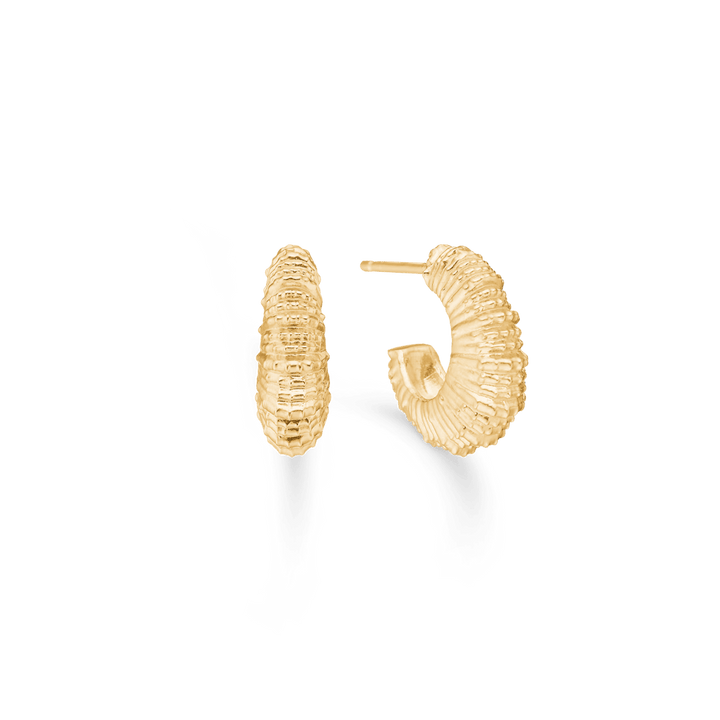 Studio Z Seashell Secrets forgyldte øreringe i bølget skaldformet design, Model 7210907-1.