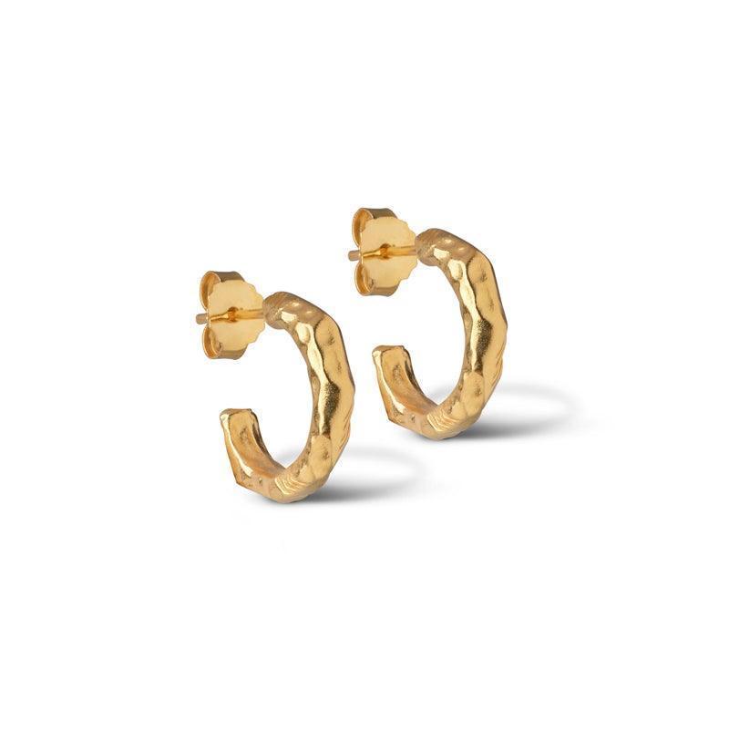 enamel-hali-forgyldt-hoops, runde øreringe i hamret, blank guldfarvet stil, Model E221GM-E221GM-1