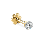 Guld Øreringe
